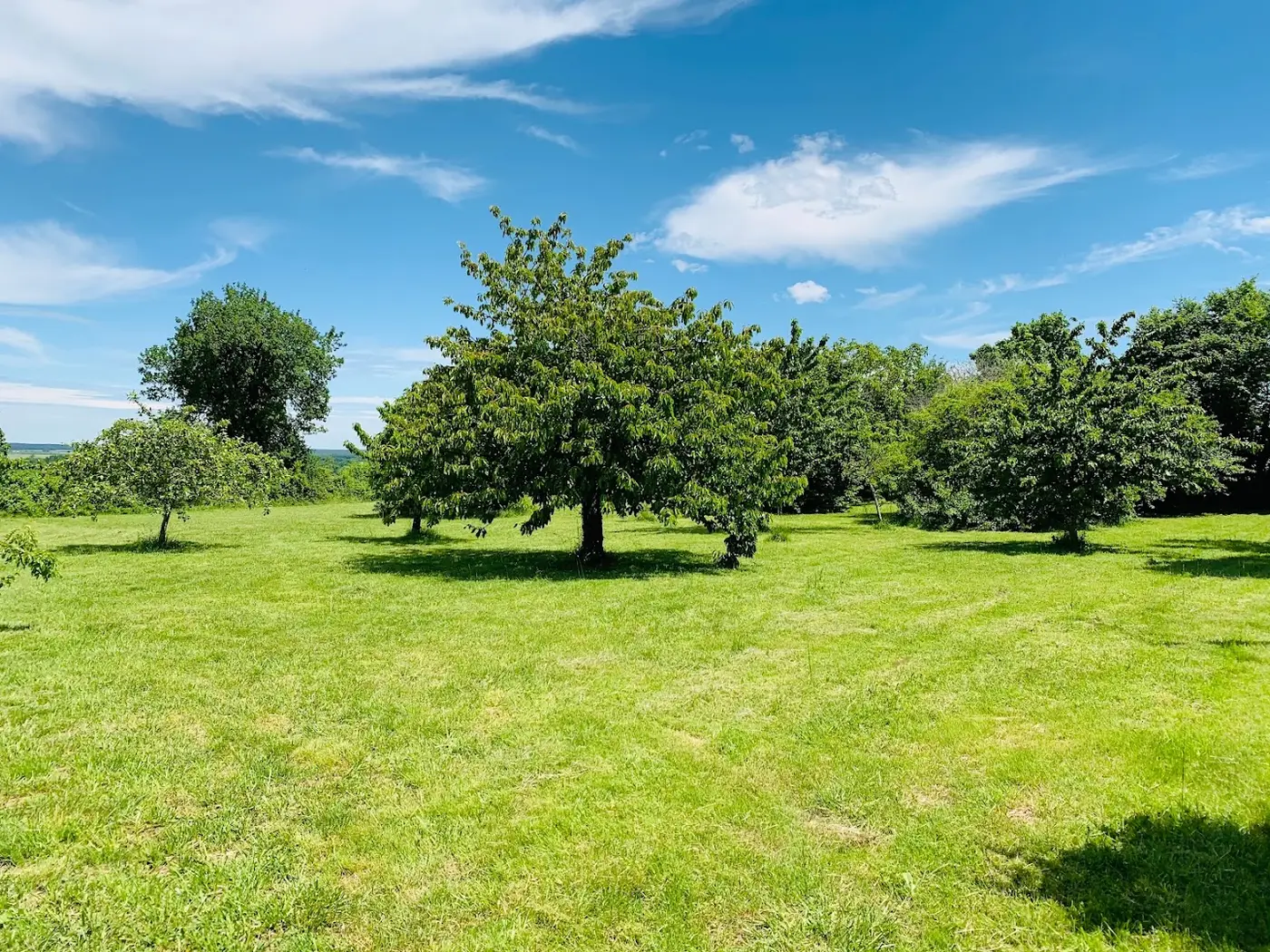 Gites - La Grande Maison du Puits · Photos 6